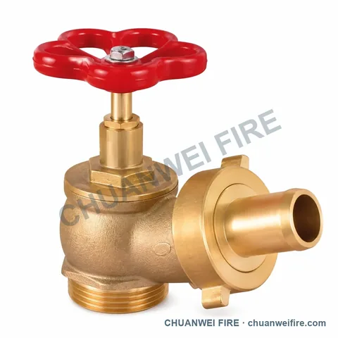 Brass-Finish Hose-Tail Fire Hose Valve