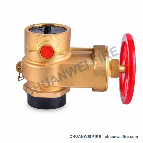 Red Horizontal-Handwheel Brass-Finish Black-Cap Fire Hose Valve