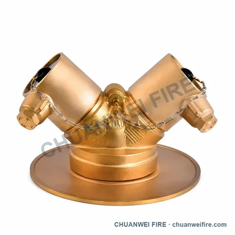 Brass-Finish Twin-Connection Flanged-Base Fire Department Connection