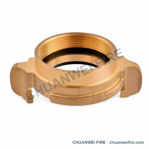Brass-Finish Female-Threaded Twin-Claw Coupling
