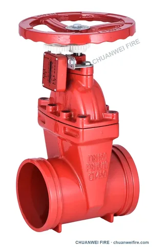 NRS Gate Valves