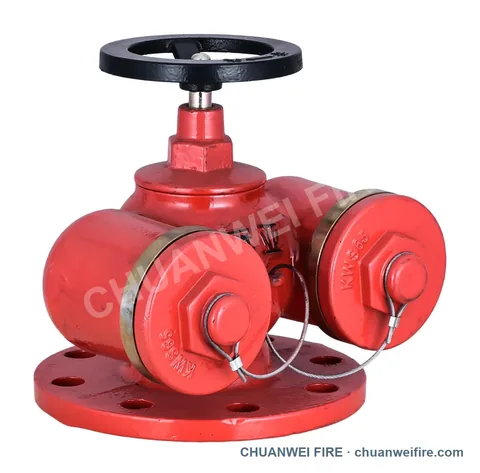 Double-Outlet Indoor Hydrants