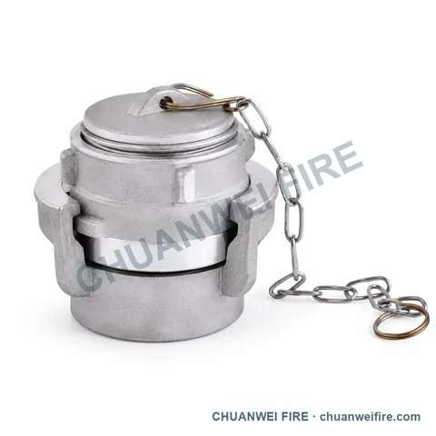 Silver-Finish Chained Blank-Cap Coupling
