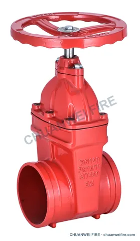 NRS Gate Valves