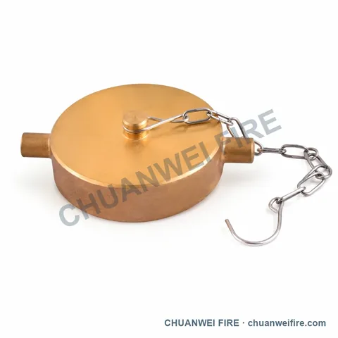 Brass-Finish Double-Lug Chained Blank Cap