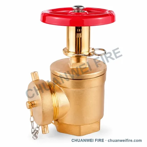 Brass-Finish With Locking Ring Capped Fire Hose Valve