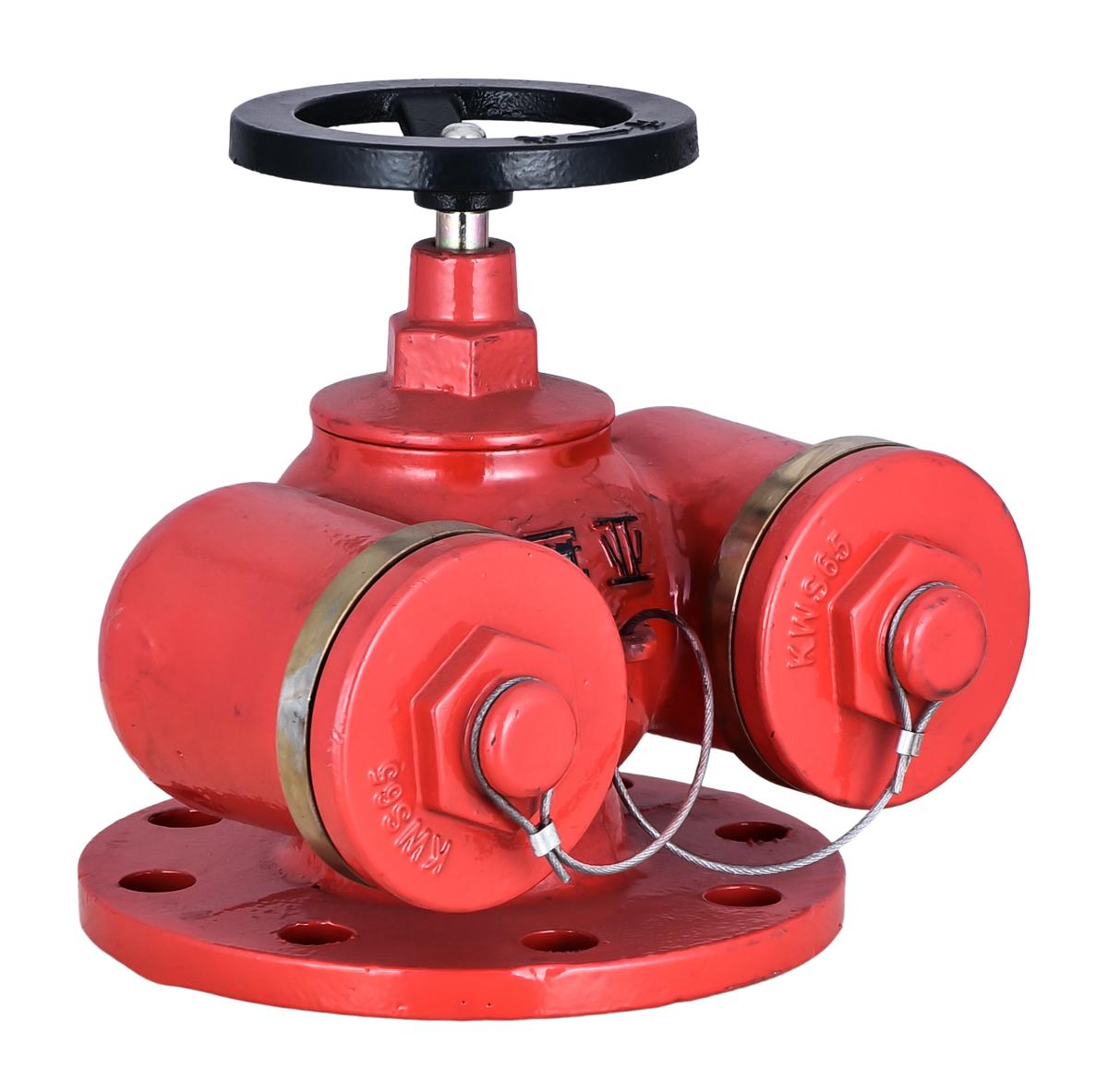 Double-valve double-outlet indoor fire hydrant